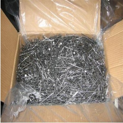 Electro-Galvanized Steel Nails